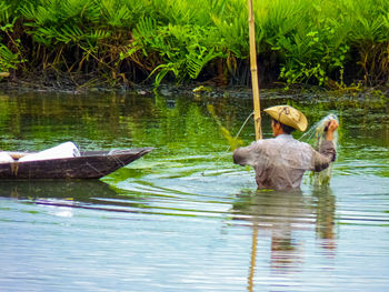 Duck swimming in lake