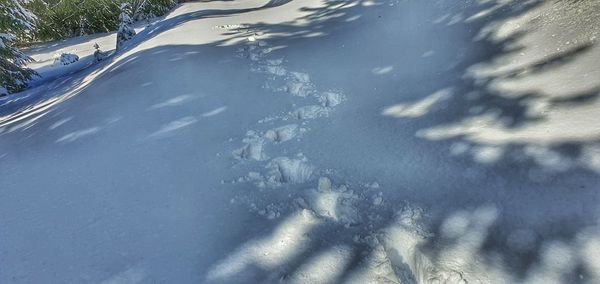 High angle view of snow on road