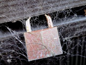 Close-up of broken spider web