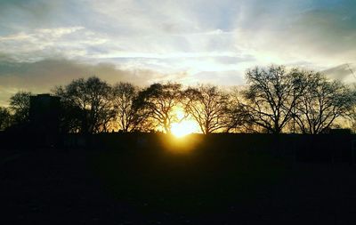 Silhouette trees against sky during sunset