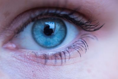 Close-up portrait of woman eye