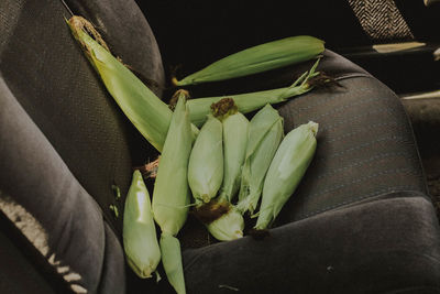 High angle view of vegetables