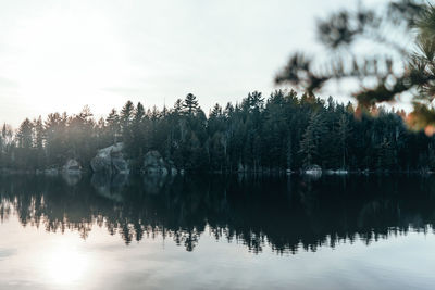 Reflection of trees in lake against sky