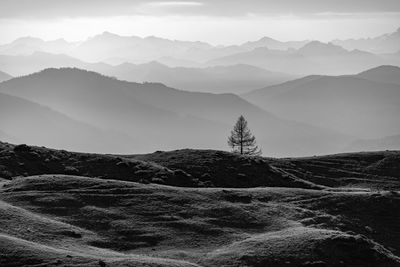 Single tree with layers of mountains in the background, fall colors, filzmoos, salzburg, austria.