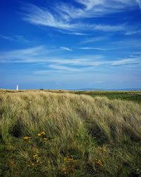 Scenic view of field against blue sky