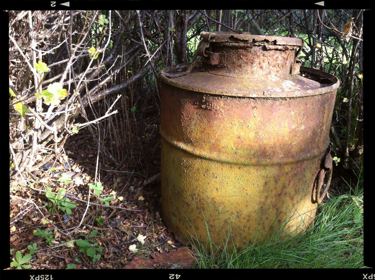 transfer print, metal, auto post production filter, old, rusty, abandoned, obsolete, metallic, close-up, run-down, deterioration, damaged, container, weathered, no people, day, plant, outdoors, sunlight, still life