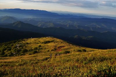 Scenic view of landscape against sky