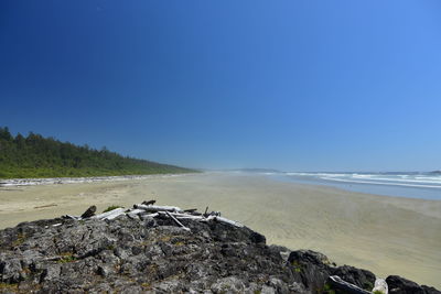 Scenic view of beach against clear blue sky