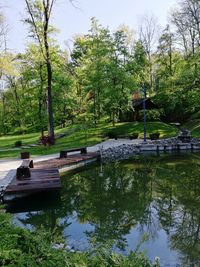 Scenic view of lake by trees against sky