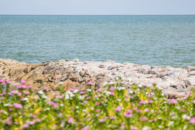 Scenic view of sea against clear sky