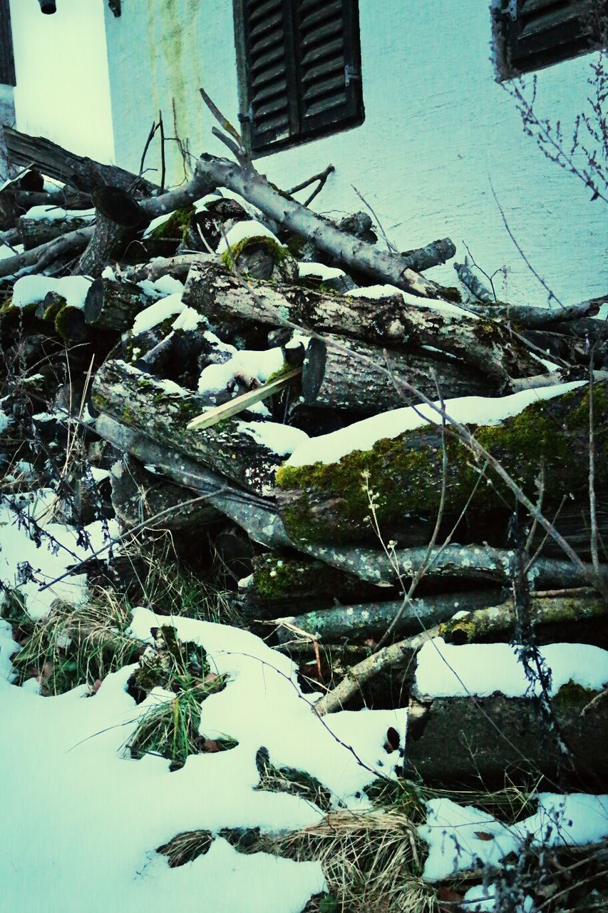 snow, winter, cold temperature, building exterior, built structure, frozen, season, architecture, covering, plant, nature, tree, day, branch, outdoors, no people, bare tree, weather, covered, house