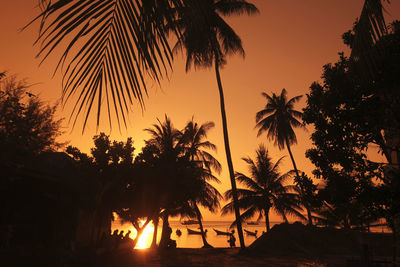 Silhouette palm trees at sunset