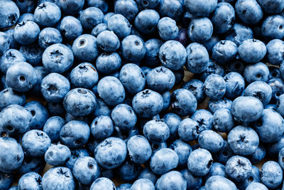 Full frame shot of blueberries