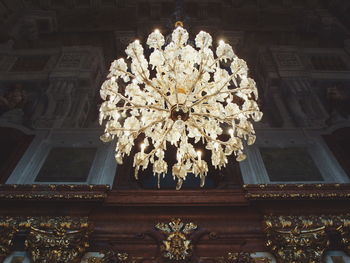 Low angle view of flowers