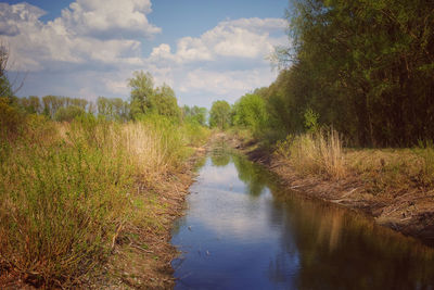 Scenic view of canal amidst trees against sky