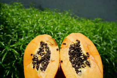 Close-up of orange slice