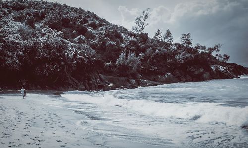 Trees on snow covered landscape