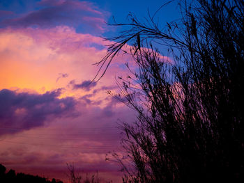 Low angle view of silhouette trees against dramatic sky