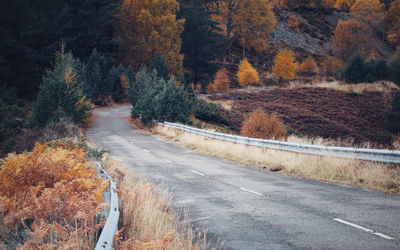 Road amidst trees in forest during autumn