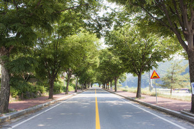 Road amidst trees and plants