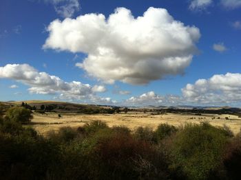 Scenic view of field against sky