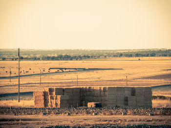 Scenic view of field against clear sky