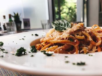 Close-up of meal served in plate