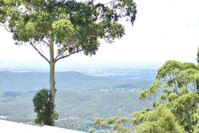 Scenic view of mountains