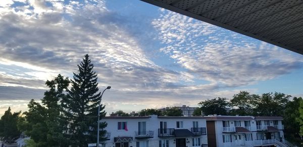 Low angle view of trees and buildings against sky