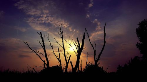 Low angle view of silhouette trees against sky