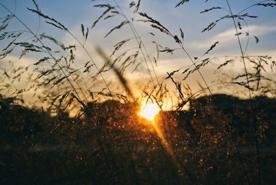 Sun shining through clouds