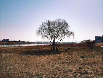 Bare trees on landscape against clear sky