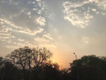 Low angle view of silhouette trees against sky