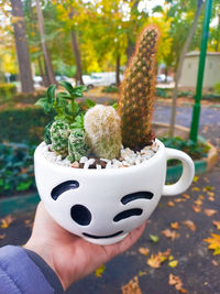 Close-up of potted plant