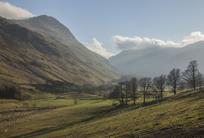 Scenic view of landscape and mountains against sky