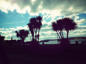 Silhouette of palm trees against cloudy sky