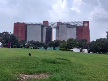 People on grassy field against cloudy sky