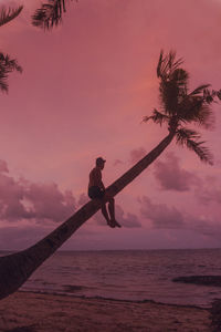 Silhouette people on beach against sky during sunset