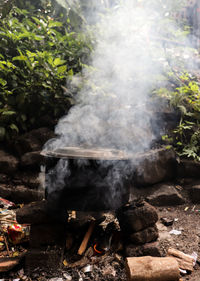 Smoke coming out of container in forest