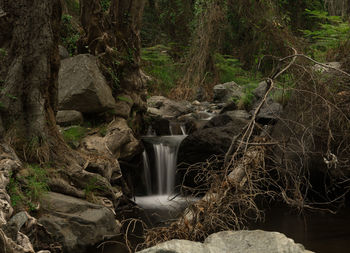 River flowing through rocks