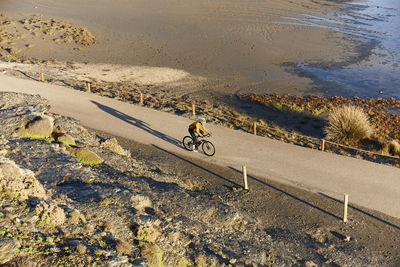 Cyclist riding bicycle by beach on sunny day