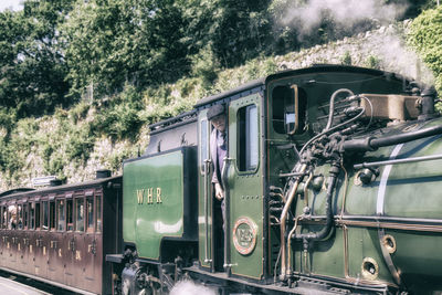 Train passing through trees