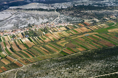 High angle view of agricultural field