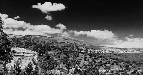 Panoramic view of trees and mountains against sky