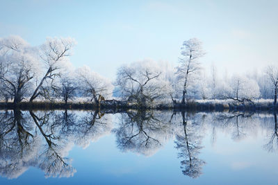 Reflection of trees in lake against sky