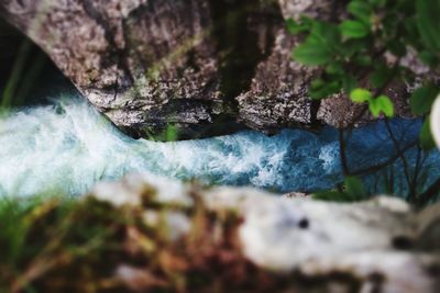 Close-up of rocks in water