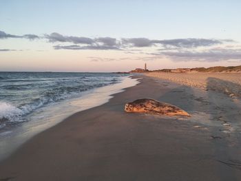 Scenic view of beach during sunset