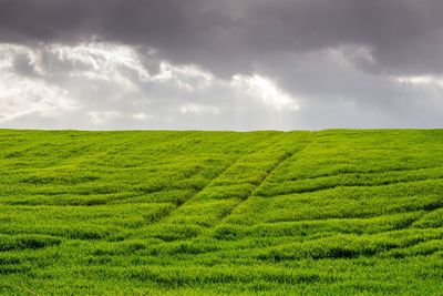 Scenic view of grassy field against cloudy sky