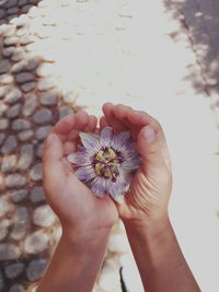 Close-up of hand holding flower