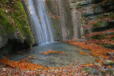 Scenic view of waterfall in forest during autumn